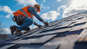 Best Solar Panel Roofing Installation  in Brandon, FL